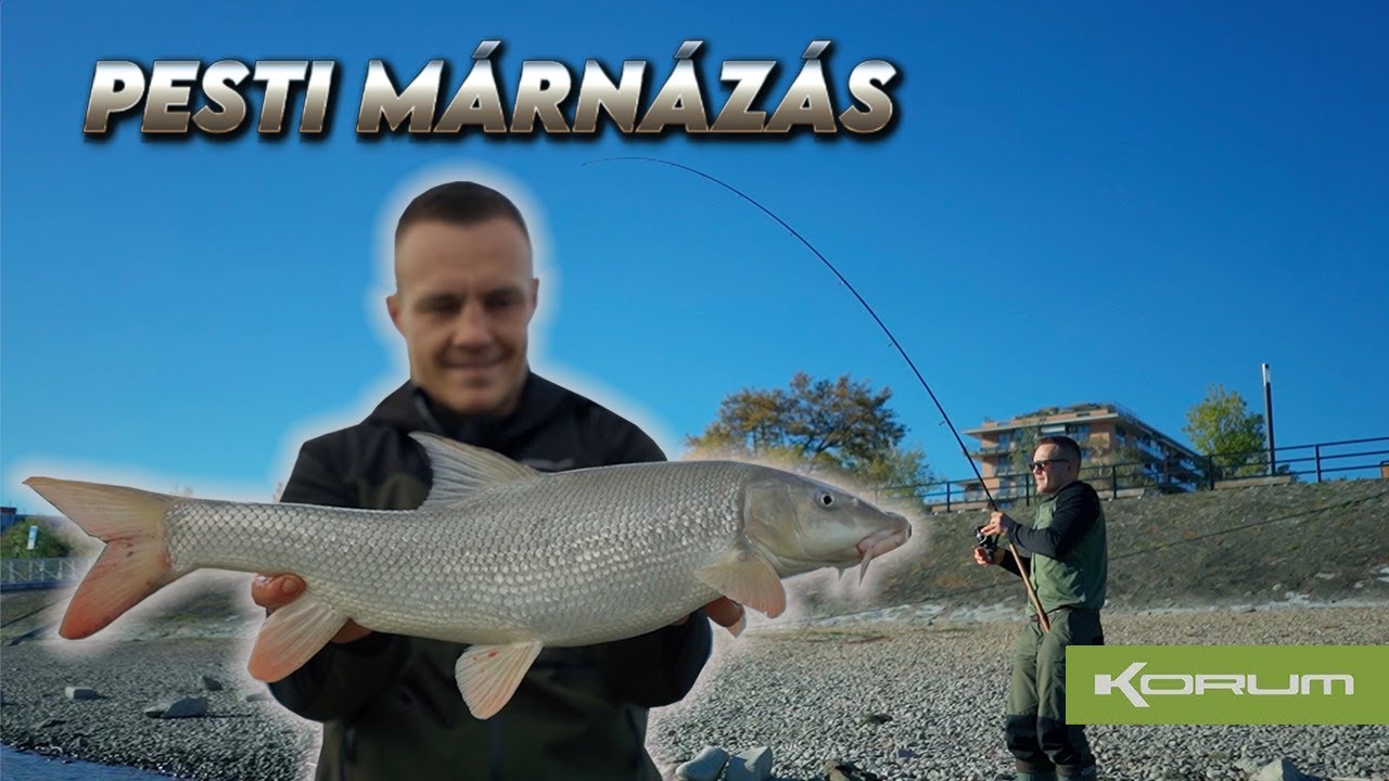 Pesti márnázás - #Barbel
