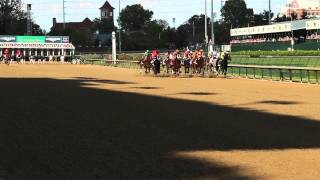 Kentucky Oaks Wrap