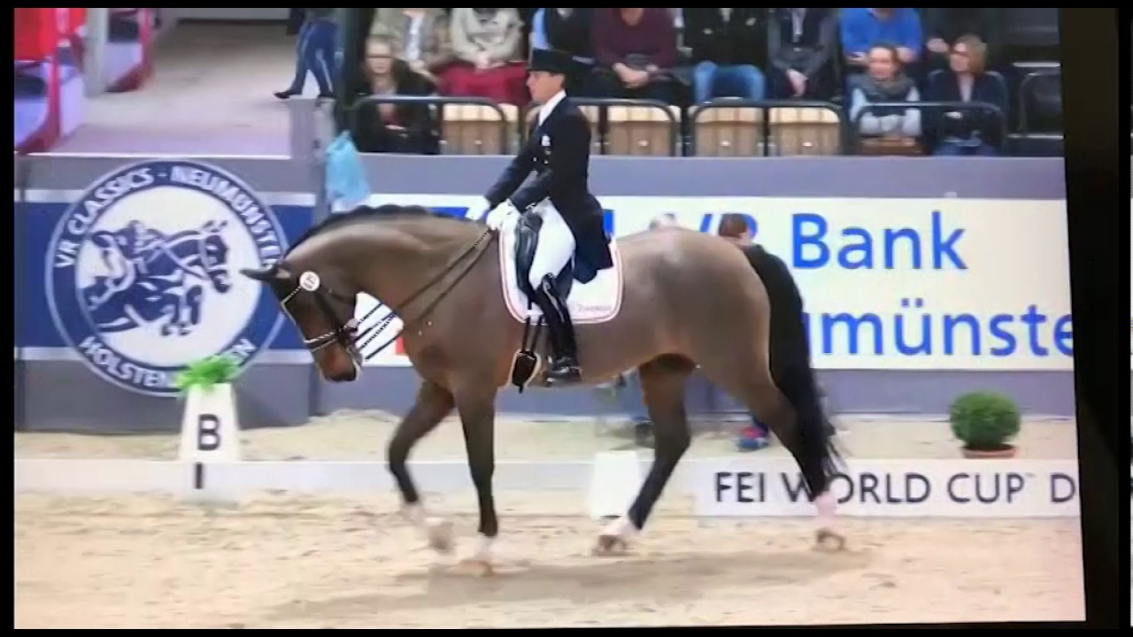 'I just want to dance' by Dressage&Music - Borja Carrascosa & Foco Loco W - Grand Prix Freestyle