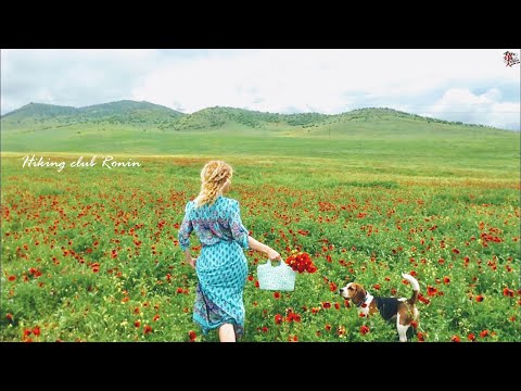 ყაყაჩოების მდელო და საპნის ბუშტები / Poppy meadow and soap bubbles