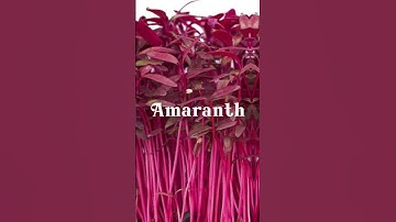 Rare colors you’ve never heard of 🌈🎨🤯#aesthetic #edit #capcut #amaranth