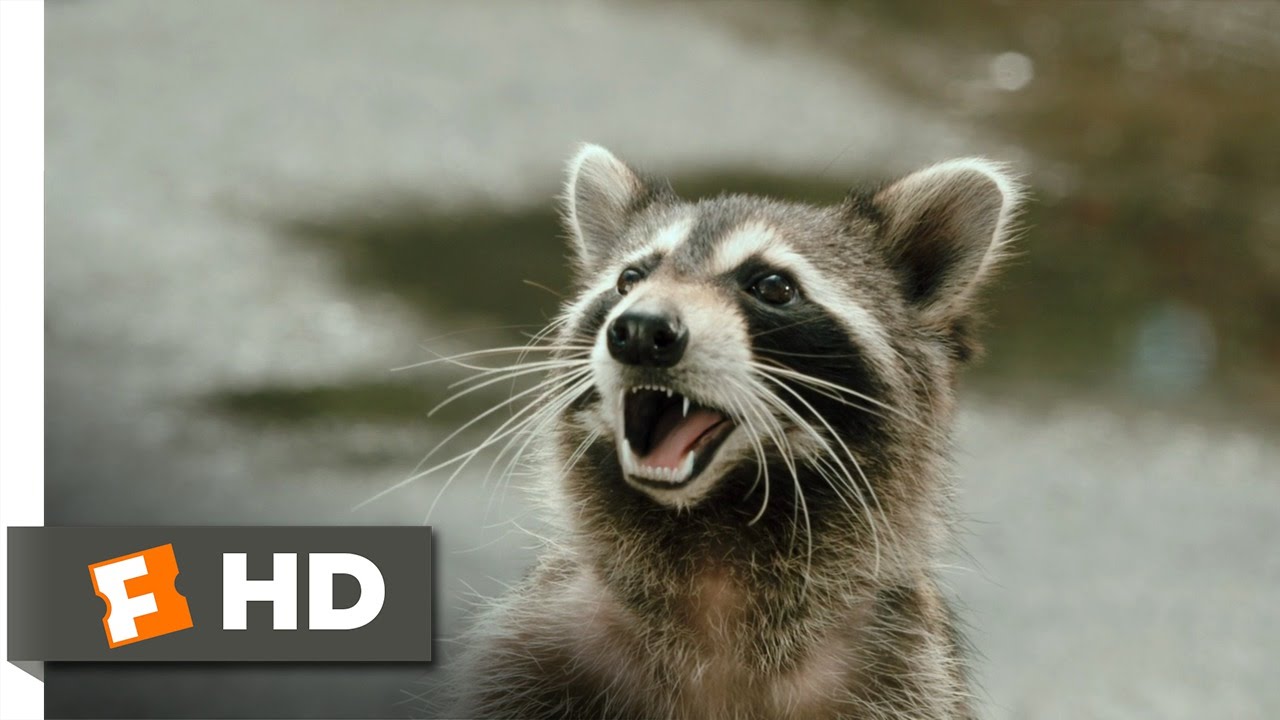 Furry Vengeance (3/11) Movie CLIP - Let's Play Games (2010