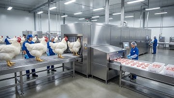 Inside a Modern Chicken Factory | How Chicken Meat Is Made