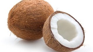 Amazing Facts Of Faith The Coconut