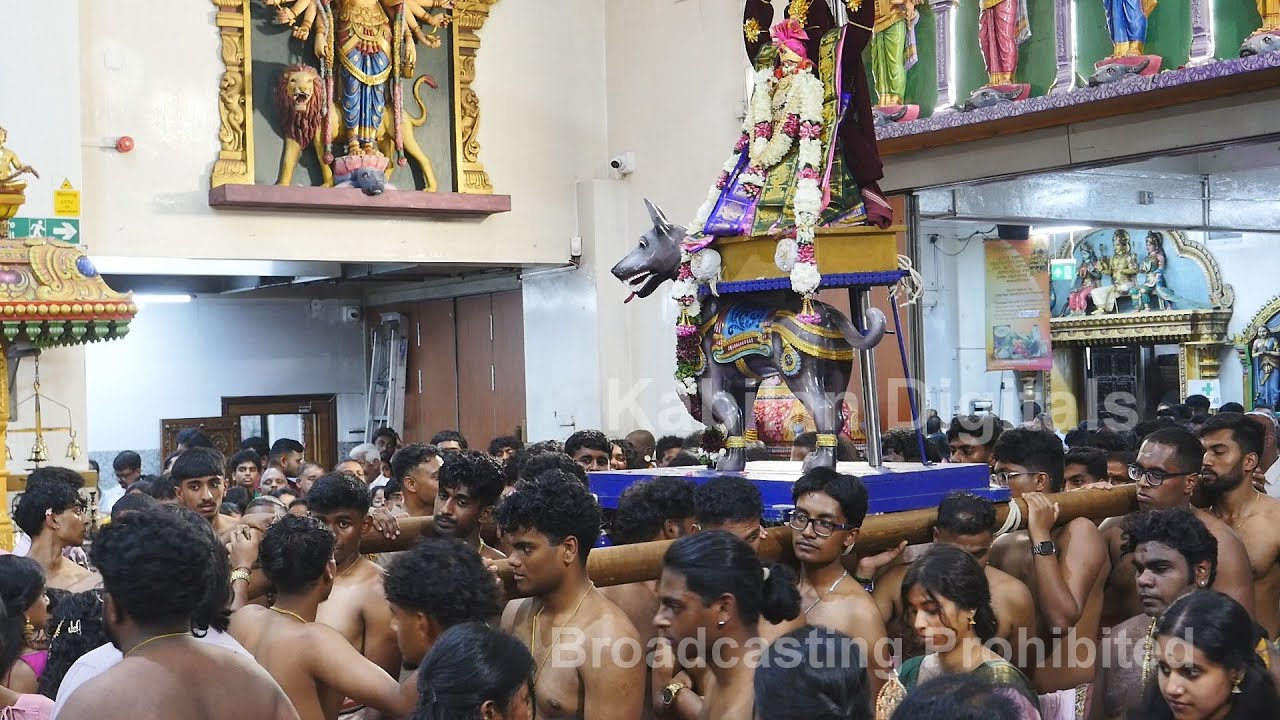 Ealing Shri Kanaga Thurrkai Amman Temple Festival day 27 2025