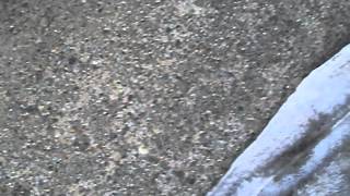 セルモーター復活