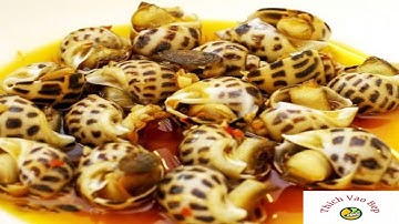 Ốc Hương Xào Bơ Tỏi ngon chuẩn vị nhà hàng | Ốc Hương