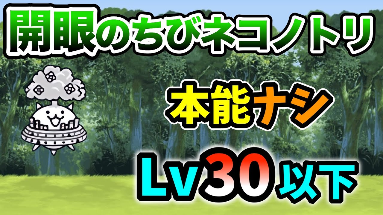 正攻法】開眼のちびネコノトリ襲来！ 本能なし&レベル30以下で攻略