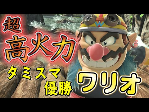 【VSリフコング】最上位ワリオに奇跡のメテオを叩きこむ！【スマブラSP】
