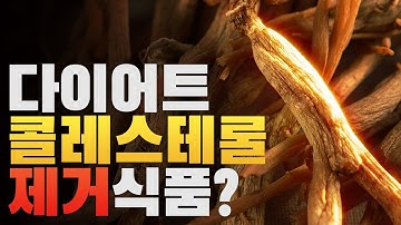 다이어트와 콜레스테롤 제거에 효과적인 사포닌 홍삼/돌외잎 feat.식이섬유