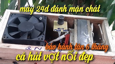 kích cá nước mặn |mẫu đi bộ siêu hút cá ko hao bình cá nổi đẹp