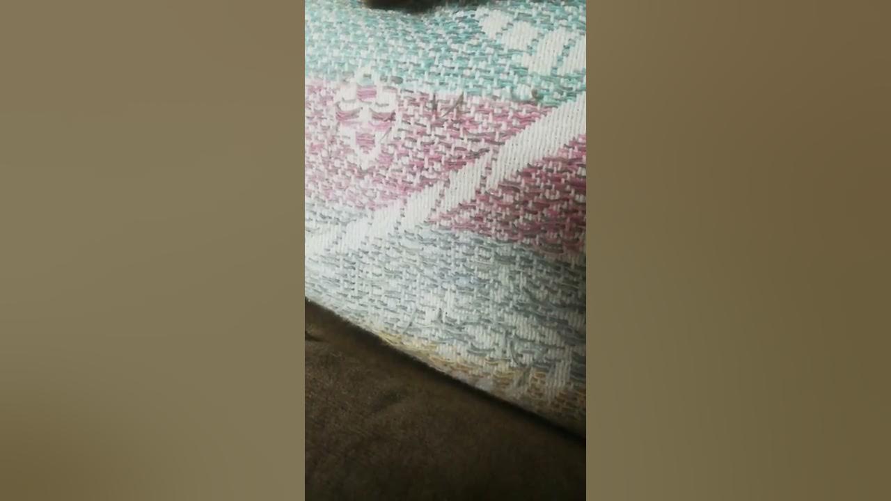 maxres2.jpg?sqp=-oaymwEoCIAKENAF8quKqQMcGADwAQH4AZQDgALQBYoCDAgAEAEYciBjKD4wDw==&rs=AOn4CLAefD6q2S3SJX0iBxoR3nYKHaW-Mw