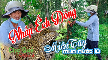 Độc đáo mùa Câu ếch đồng | Chợ Quê Tập #51