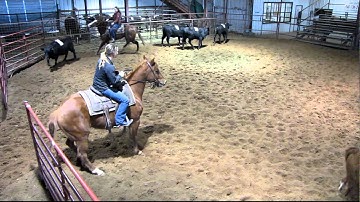 Valley View Ranch - Little Pep sorting - 3