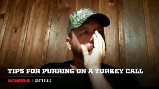 Tips for Purring on a Turkey Call | SCHEELS