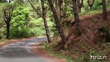 Đường lên núi LANGBIANG đà lạt cao 2000m