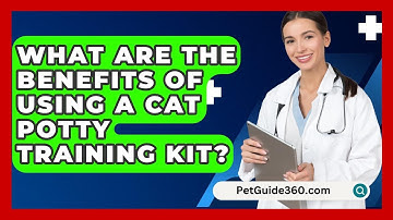 What Are the Benefits of Using a Cat Potty Training Kit? - PetGuide360.com