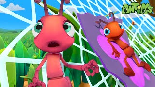 🍬Ants Stuck🍬 | ANTIKS | Funny Cartoons For All The Family!