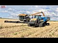 HARVESTING WHEAT & PLANTING SOYBEANS