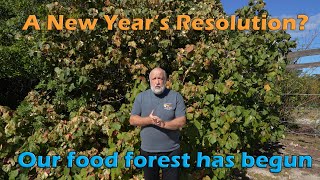 Our food forest has begun - follow our permaculture journey. by FurFeathersandFlowers 132 views 2 months ago 14 minutes, 8 seconds