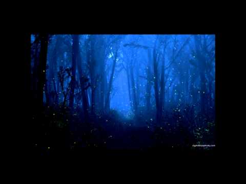 Tomatohead - Woods (Darkside)