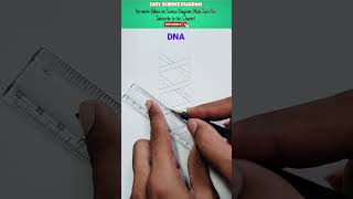 How to draw double DNA  helix Diagram #DNA #helixdiagram #sciencediagram