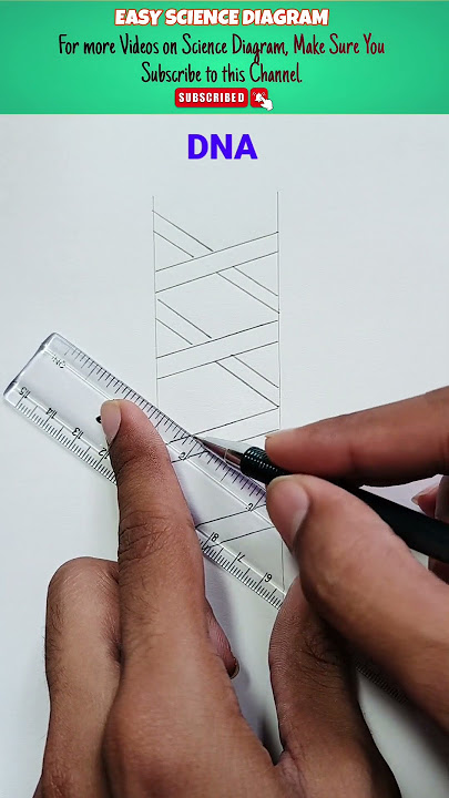 How to draw double DNA  helix Diagram #DNA #helixdiagram #sciencediagram