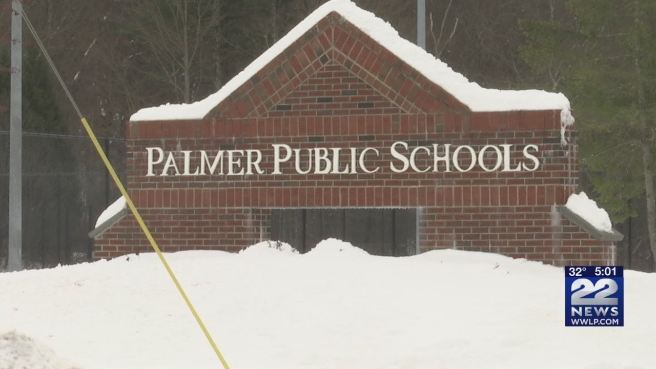 Mother of Thousands plant that poisoned Palmer students could cause heart problems