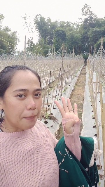 Seperti inilah jadi petani 😅