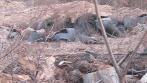 Large chunks of rubber in the buffer area of protected wetlands?