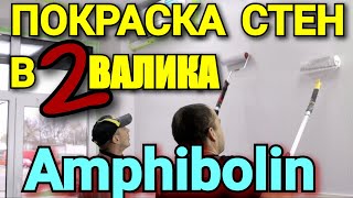 Покраска стен в два валика. Caparol Amphibolin.