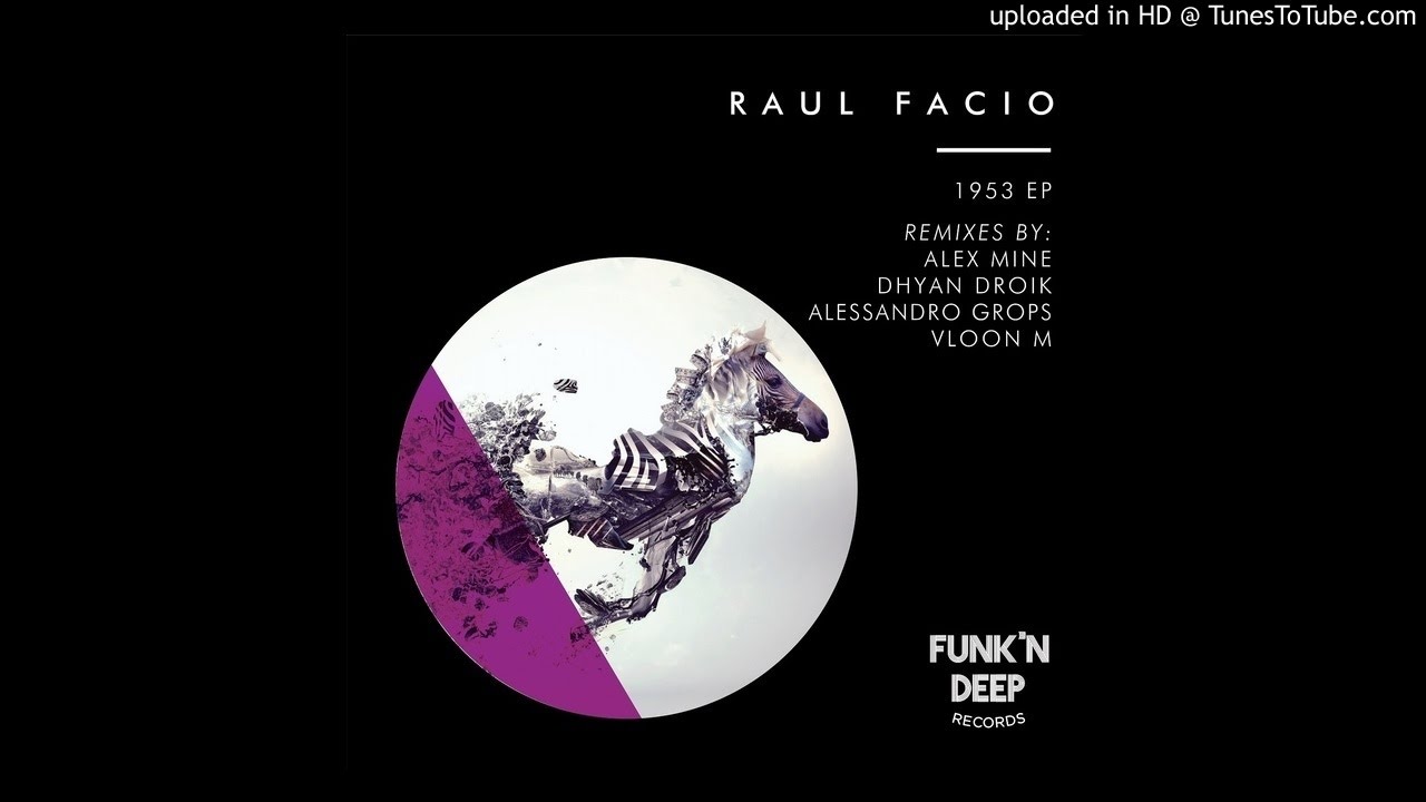 Raul Facio - 1953 (Alex Mine Remix)