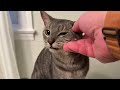 Middle of video
