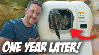My 6 Cats Still LOVE This Smart Litter Box! HomerunPET CS106 Self-Refilling Litter Box 1 Year Later