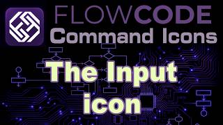 The Input icon