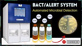 BacT/ALERT System: Fast Detection of Bacteria, Fungi, Sepsis, & Infections | Complete Workflow Guide