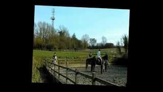 Tumpy Green event training.