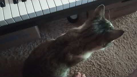 Kurzweil K2700 - Load DX7 Factory Patches (Tutorial)