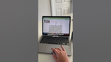 Notion personalised dashboards for each of my social media clients has changed the game for me  Havi