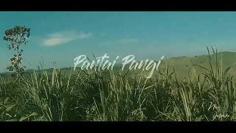 Pantai Pangi | Cinematic video