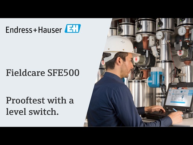 FieldCare SFE500 – Proof Test Wizard with Level Switch