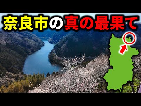 【県庁所在地の秘境】奈良市の”若草山の裏側”には何があるのか？月ヶ瀬村とは・・・