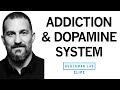 Addiction explained rises  falls in dopamine  dr andrew huberman