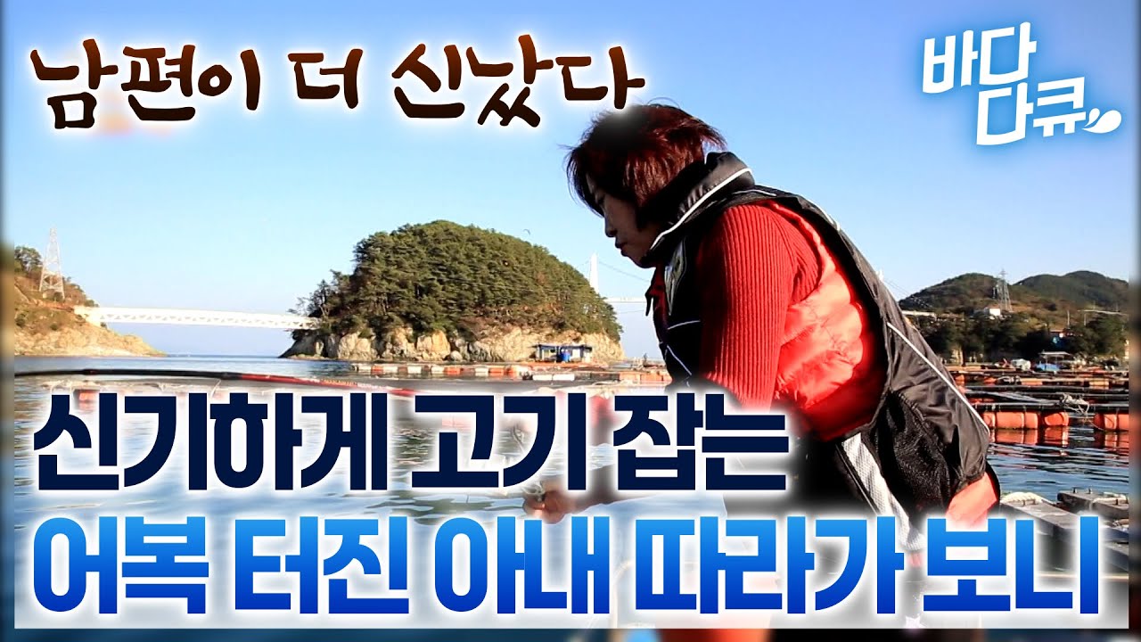 가볍게 낚시한다더니... 저녁 밥상 메뉴가 달라졌다 / #바다다큐