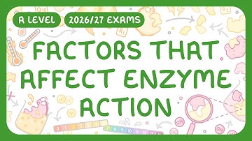 A-Level Biology - Factors that Affect Enzyme Action (2026/27 exams)