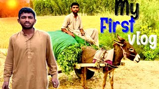 My First Vlog || 😥😭 Village Life