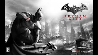 Batman: Arkham City 30/60FPS Nintendo Switch OC 4IFIR 1.9