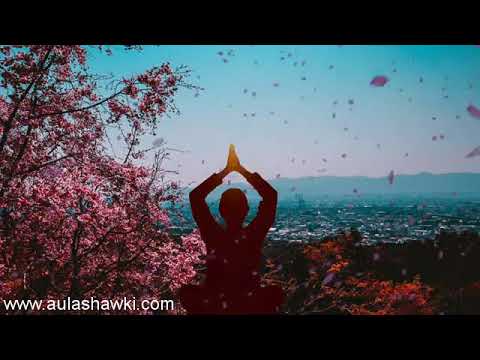 تأمل الحضور في اللحظة الحالية