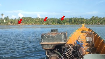CEK JARING BENDUNGAN IKAN NILA PAKE PERANGKAP DI DANAU TEMPE