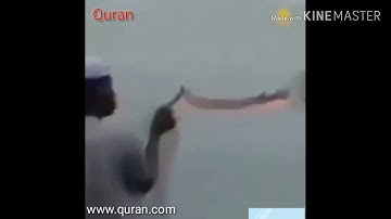 إن المسلمين والمسلمات والمؤمنين والمؤمنات بصوت القارئ العفاسي